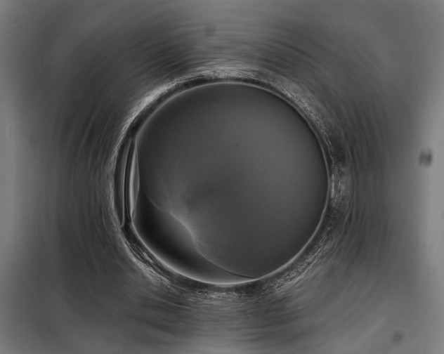 X0000098090438200804041223