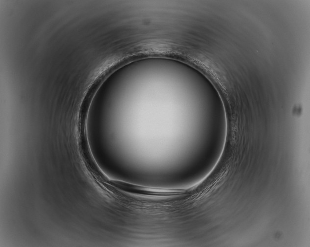 X0000098090439200804041223