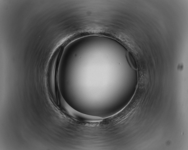 X0000098090440200804041223