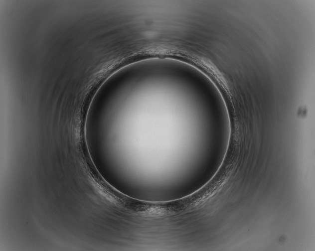 X0000098090441200804041223