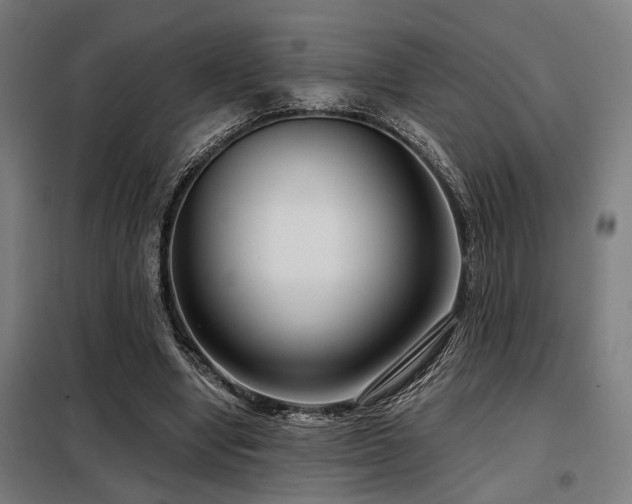 X0000098090442200804041223