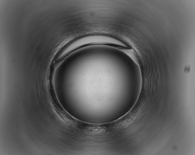 X0000098090443200804041223