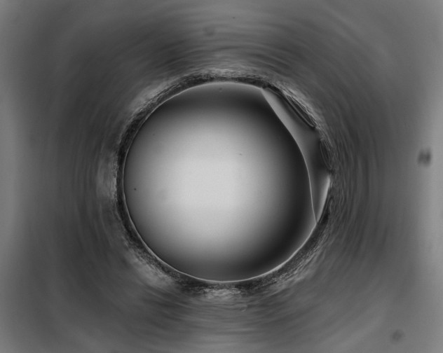 X0000098090446200804041223