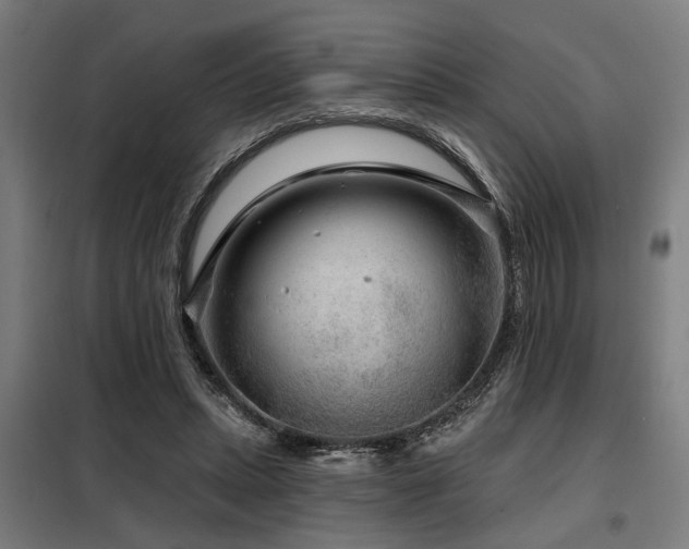 X0000098090447200804041223