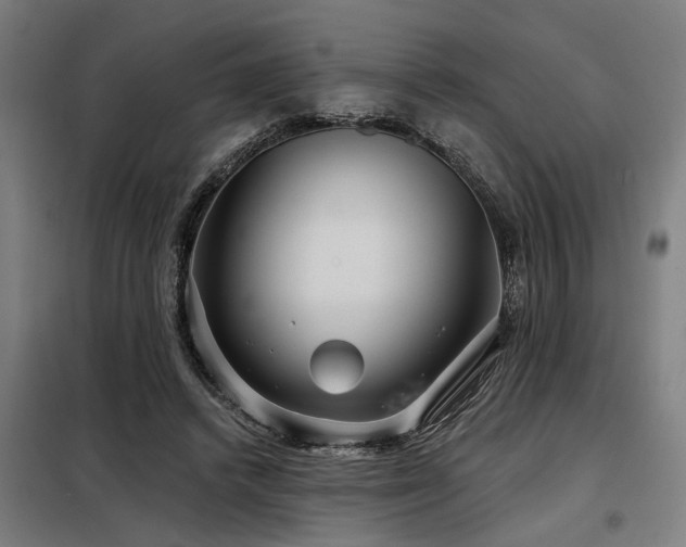 X0000098090448200804041223