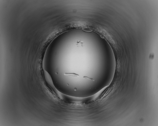 X0000098090449200804041223