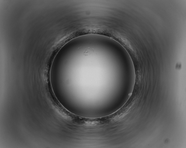 X0000098090450200804041223