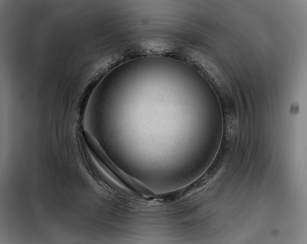 X0000098090451200804041223