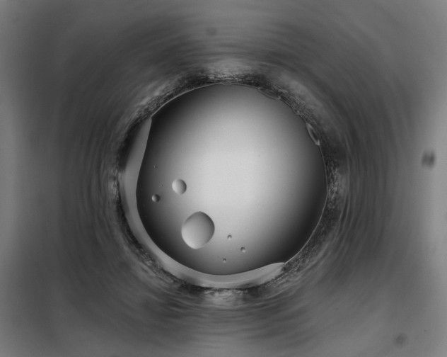 X0000098090452200804041223