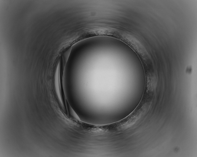X0000098090453200804041223