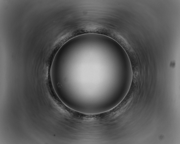 X0000098090454200804041223