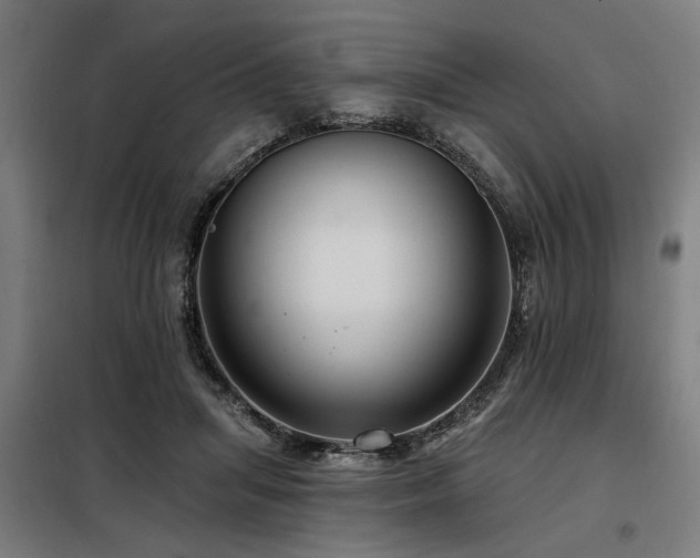 X0000098090455200804041224