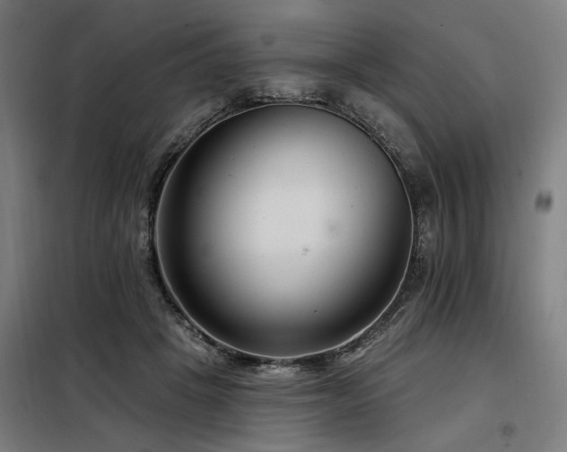X0000098090457200804041224