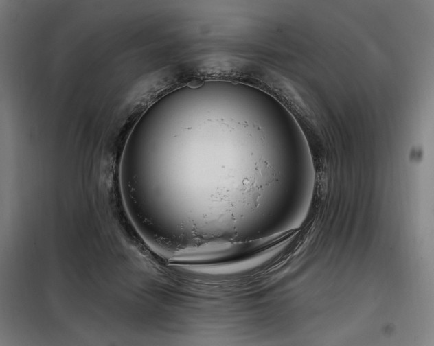 X0000098090458200804041224