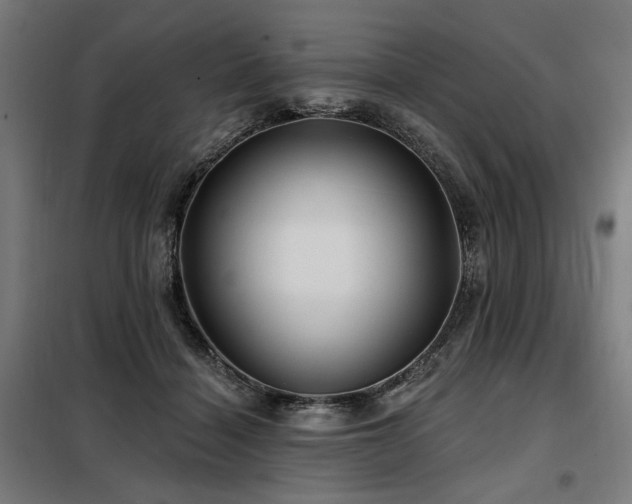 X0000098090460200804041224