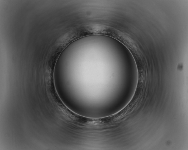 X0000098090461200804041224