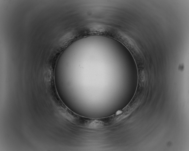 X0000098090463200804041224
