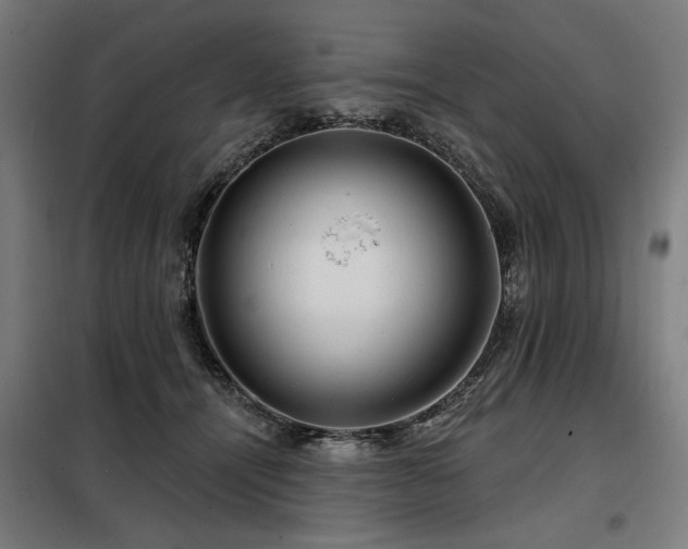 X0000098090464200804041224