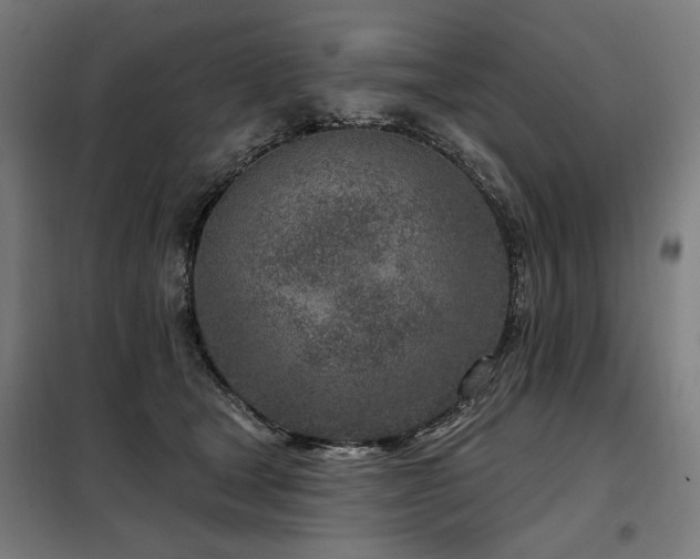 X0000098090465200804041224
