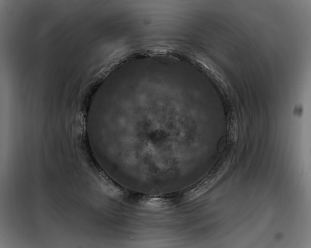 X0000098090467200804041224