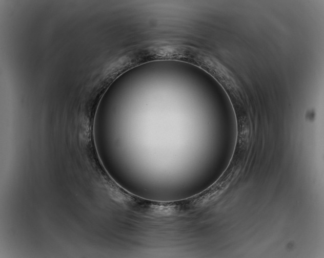 X0000098090469200804041224