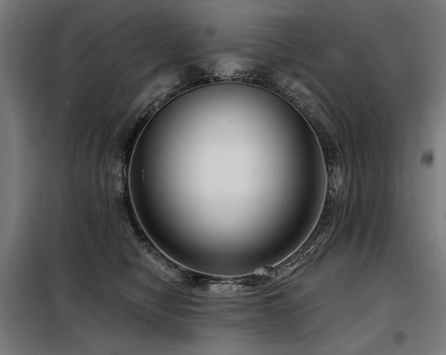 X0000098090470200804041224