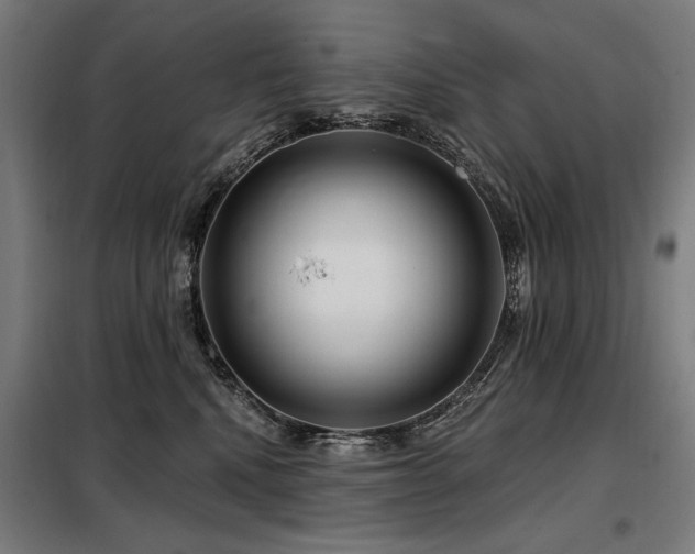 X0000098090472200804041224