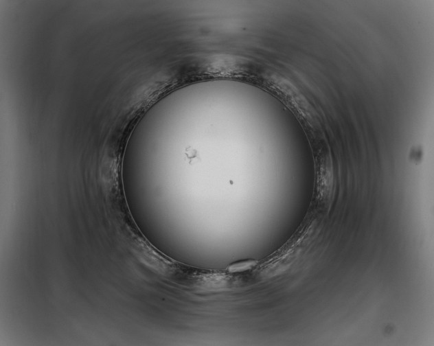X0000098090473200804041224