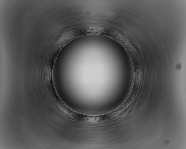 X0000098090474200804041224