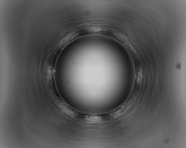 X0000098090476200804041224