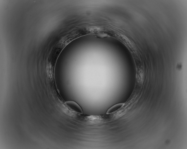 X0000098090477200804041224
