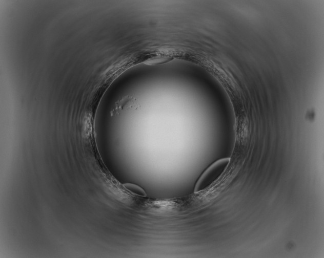 X0000098090478200804041224