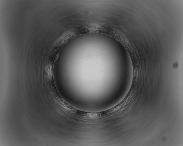 X0000098090479200804041224
