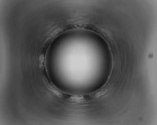 X0000098090480200804041224