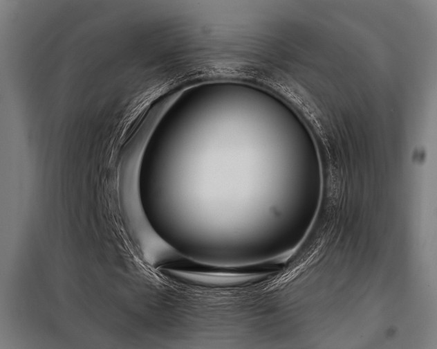 X0000098090481200804041223
