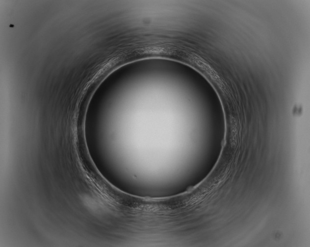 X0000098090482200804041223
