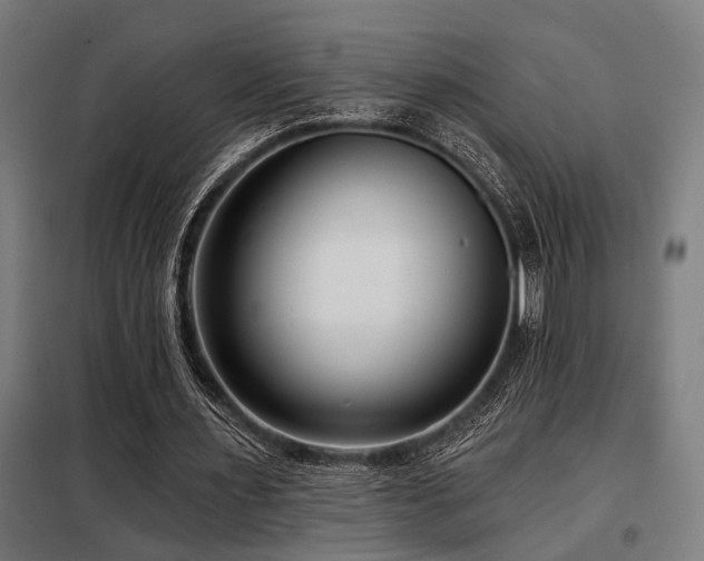 X0000098090483200804041223