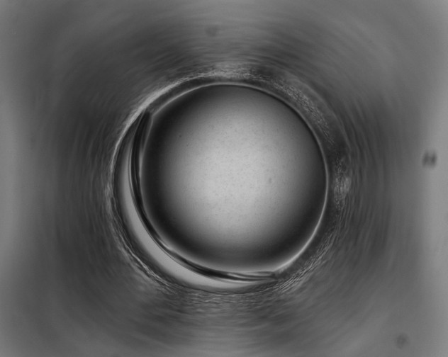 X0000098090484200804041223