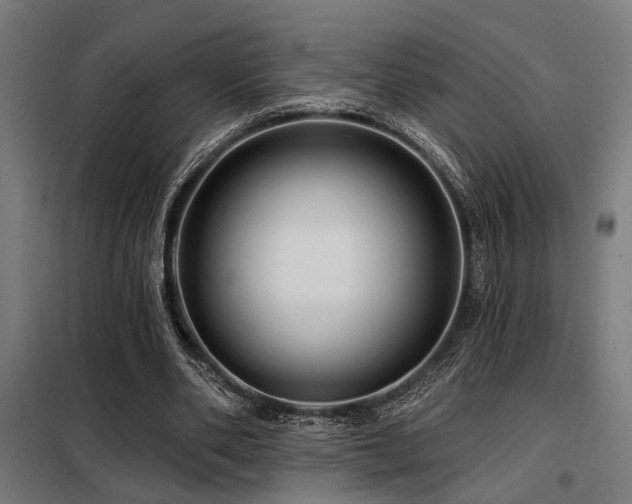 X0000098090486200804041223