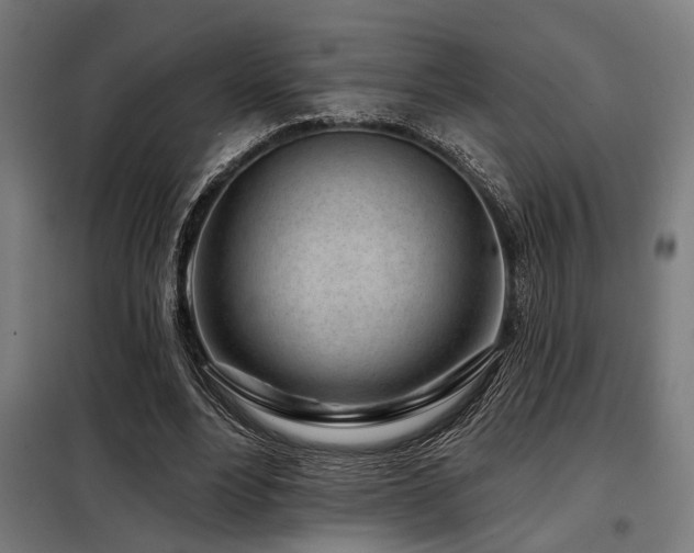 X0000098090488200804041223