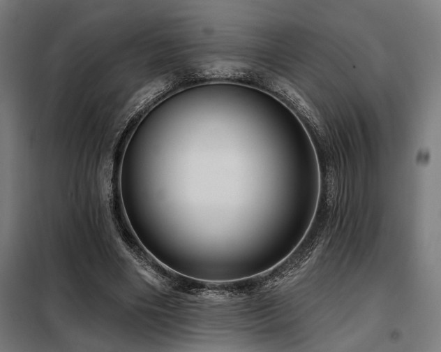 X0000098090490200804041223