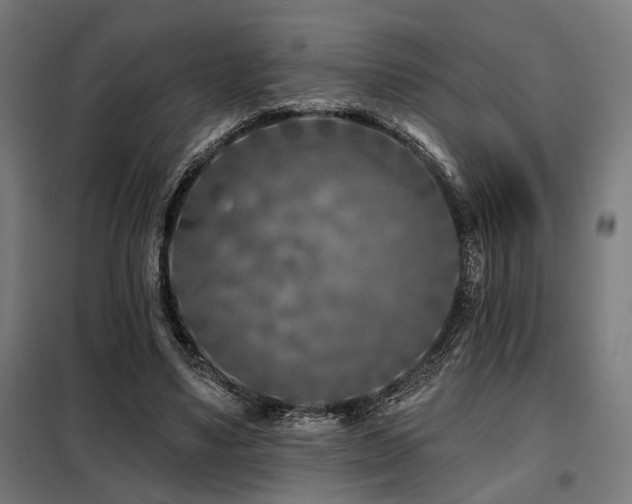 X0000098090491200804041223