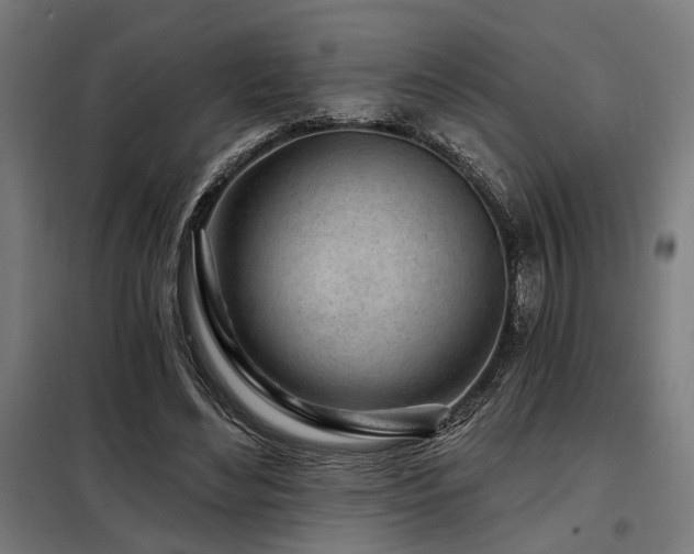 X0000098090492200804041223
