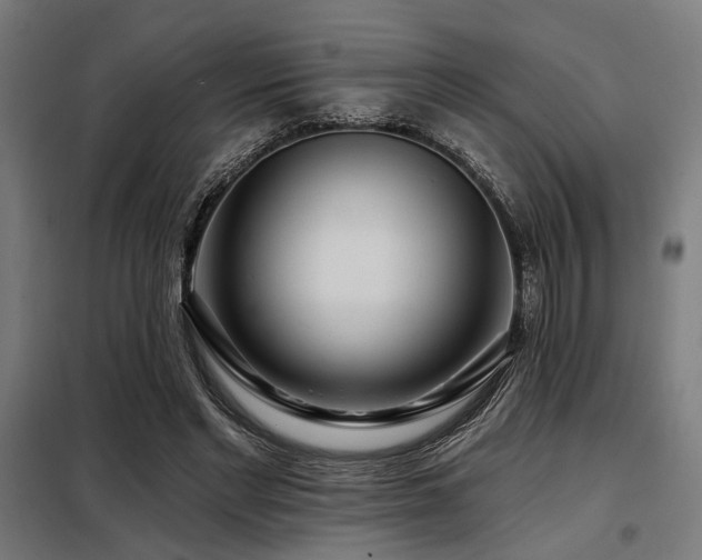 X0000098090493200804041223