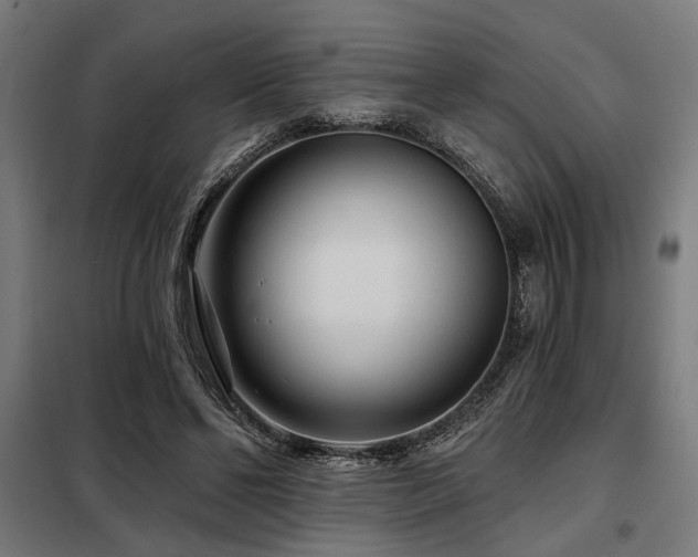 X0000098090494200804041223