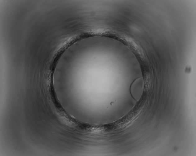 X0000098090495200804041223