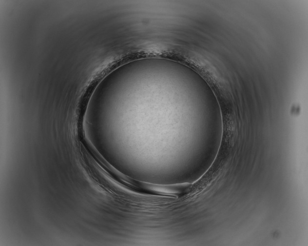 X0000098090496200804041223