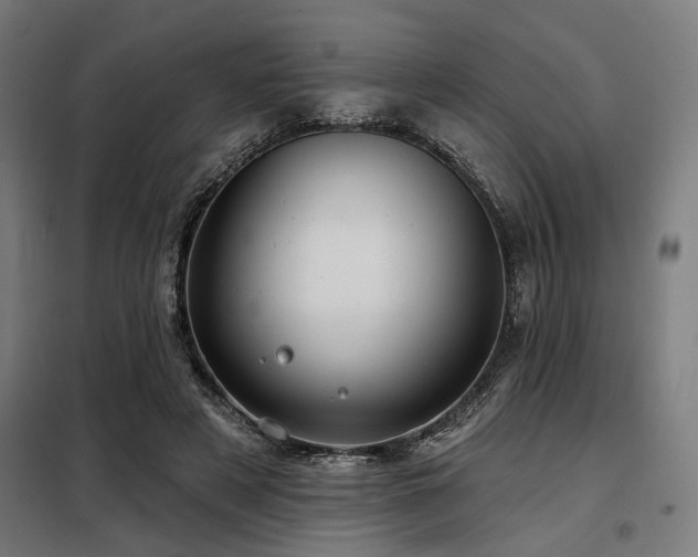 X0000098090497200804041223