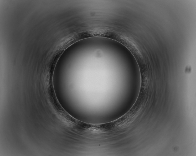 X0000098090498200804041223
