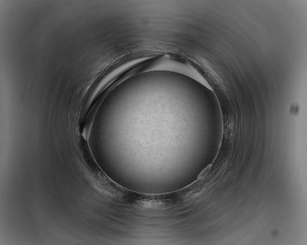 X0000098090500200804041223